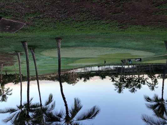 WEST LOCH GOLF COURSE 96 Photos 31 Reviews 91 1126 Okupe St Ewa 