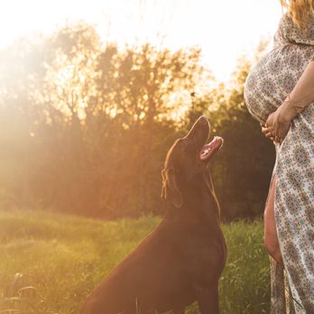 Lisa Cole Photography - Maternity Session | Lisa Cole Photography - Session Photography Near Me