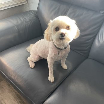Nikki's Pet Spa - Lisa - Pet Groomers Near Me - Norco, California
