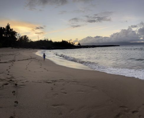 D.T. Fleming Beach Park by null