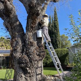 Bee keeper
