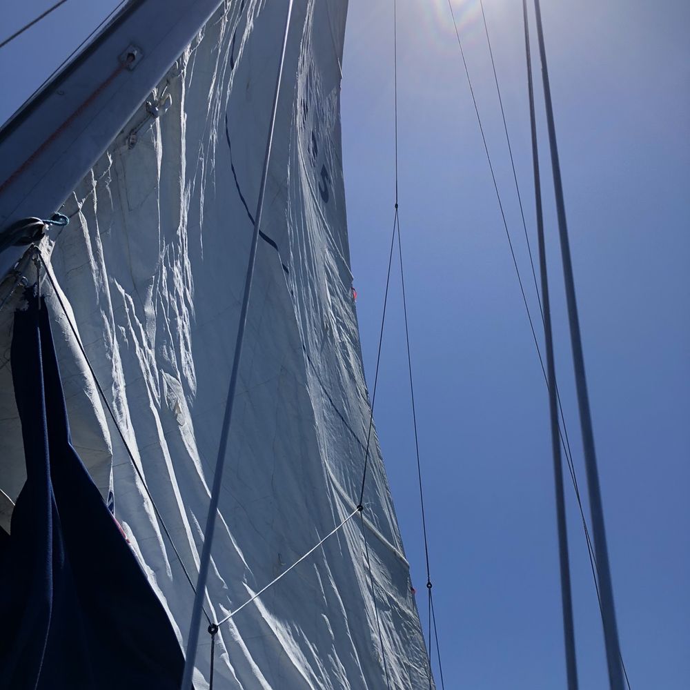 Carrera Sailing - When the sail was up! - Boating Near Me - Monterey, California Carrera Sailing - When the sail was up! - Boating Near Me - Monterey, California
