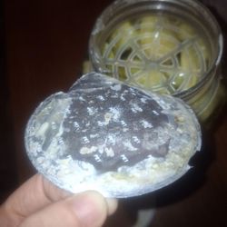 Highland's Tru Buy - Mold on Pepperoncinis lid