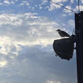 Seacrets - Bars Near Me - Ocean City, Maryland