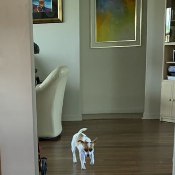 Stanley Steemer - After - Carpet Cleaning Near Me - Delray Beach, Florida Stanley Steemer - After - Carpet Cleaning Near Me - Delray Beach, Florida