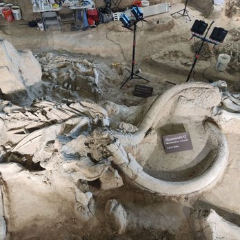 Waco Mammoth National Monument - Museums Near Me - Waco, Texas Waco Mammoth National Monument - Museums Near Me - Waco, Texas