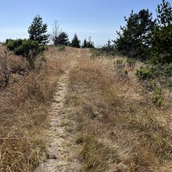 Tick trail. Tuck those pants into your long socks. We saw quail, rabbits, dear.