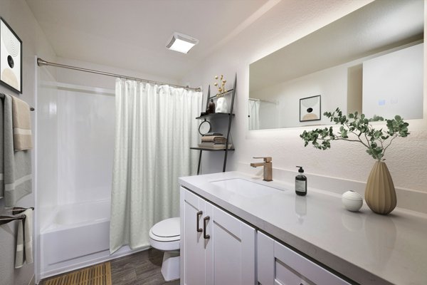 Trolley Palm by null