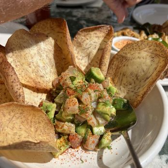 Great White - Cafes Near Me - Los Angeles, California Great White - Cafes Near Me - Los Angeles, California