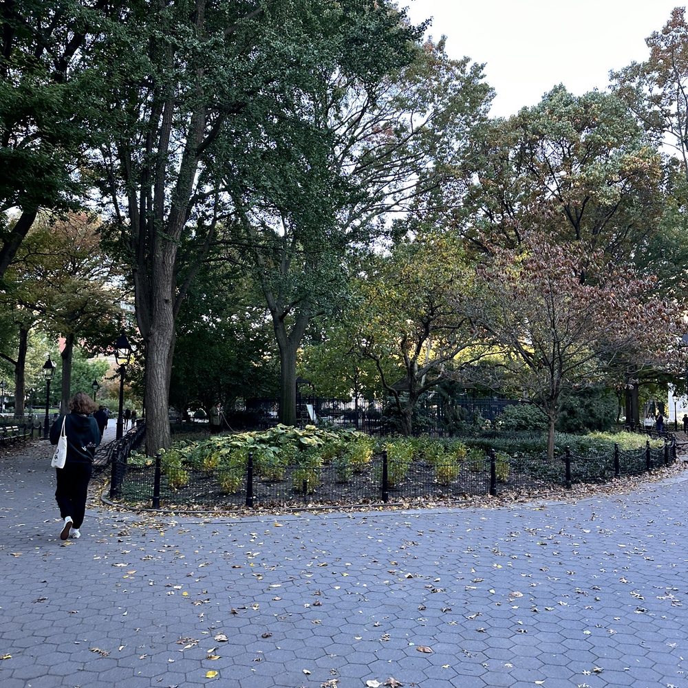 Washington Square Park - Parks Near Me - New York, New York Washington Square Park - Parks Near Me - New York, New York