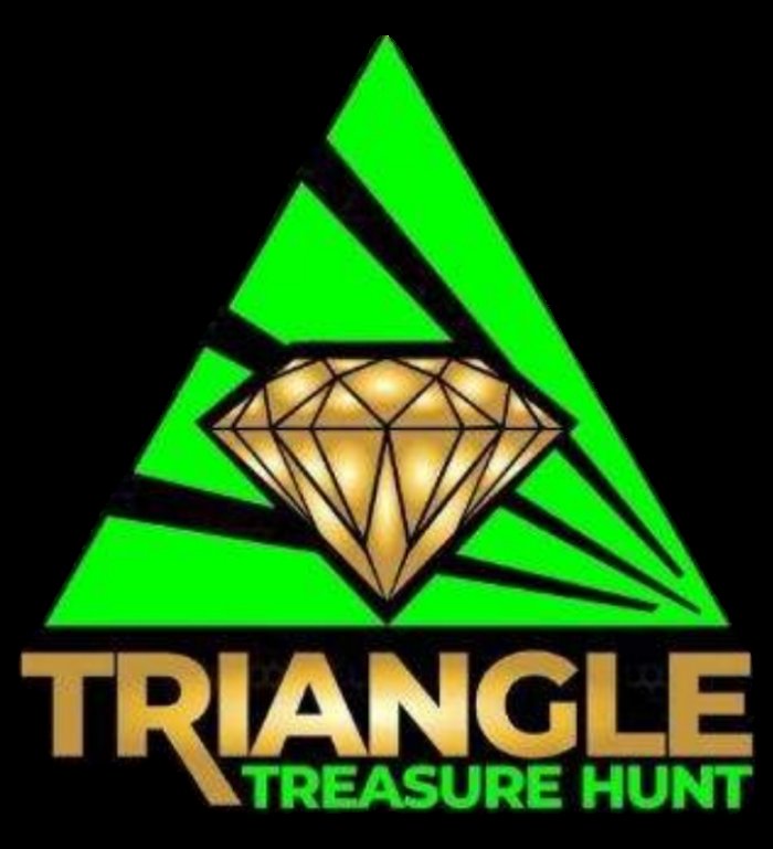 TRIANGLE TREASURE HUNT Discount Store at 4111 New Bern Ave, Raleigh, North Carolina Phone