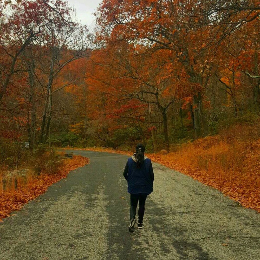 Bear Mountain - Hiking Near Me