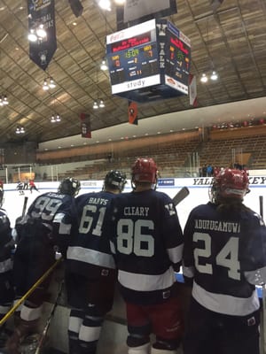 Ingalls Ice Rink by null