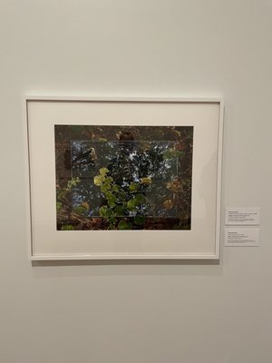 Utah Museum of Fine Arts by null