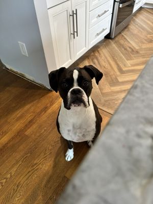 Freedom Farms by null