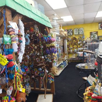 Amazon Jungle - Selection of bird toys and accessories is phenomenal! Great variety and prices. - Pet Stores Near Me - Ormond Beach, Florida