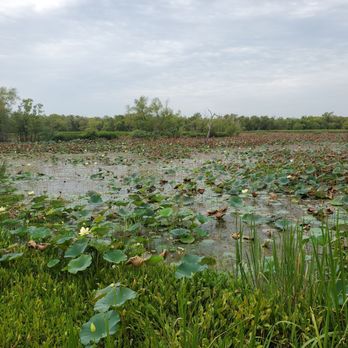 Brazos Bend State Park - Parks Near Me - Needville, Texas Brazos Bend State Park - Parks Near Me - Needville, Texas