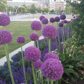 Lake Union Piers - Parks Near Me - Seattle, Washington Lake Union Piers - Parks Near Me - Seattle, Washington