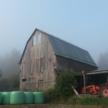 Moonstruck Organic Cheeses - Foggy morning on the farm, everything quiet and the air so soft. - Organic Stores Near Me - Salt Spring Island, British Columbia Moonstruck Organic Cheeses - Foggy morning on the farm, everything quiet and the air so soft. - Organic Stores Near Me - Salt Spring Island, British Columbia