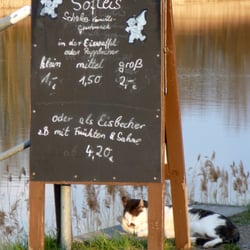 Gaststätte Zum Hafen - Eis vs. Hauskatze
