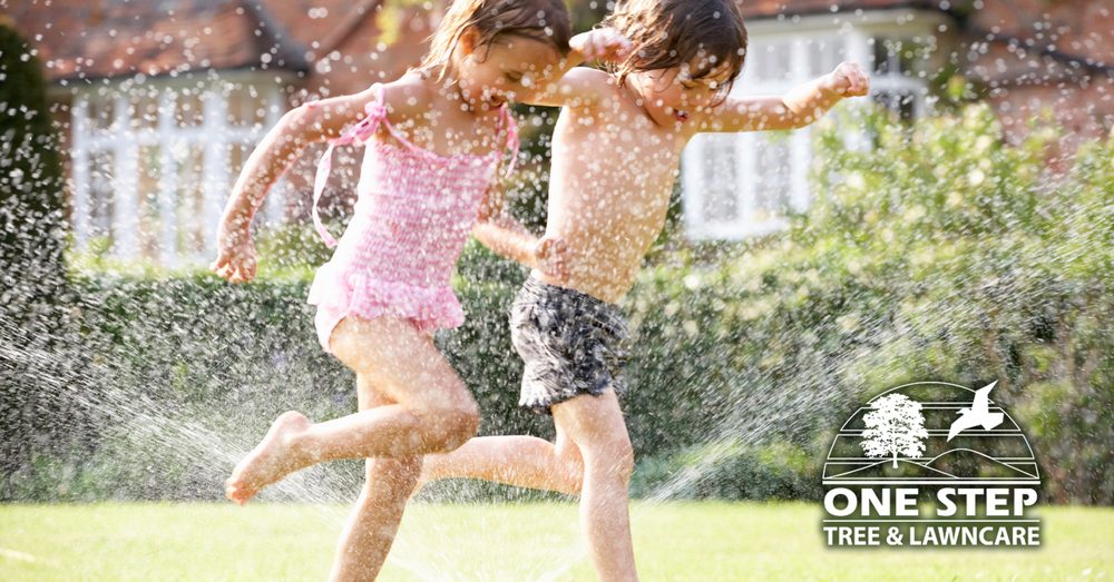 One Step Tree and Lawn Care - tree service in North Chili, NY