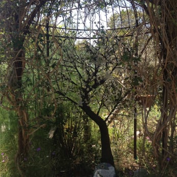 Spellbound Herbs - Nurseries & Gardening Near Me - Cambria, California Spellbound Herbs - Nurseries & Gardening Near Me - Cambria, California