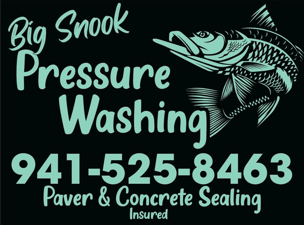 BIG SNOOK PRESSURE WASHING Bradenton, Florida Pressure Washers