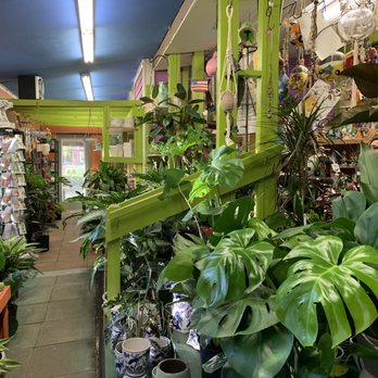 auto watering system indoor plants Automatic watering system for houseplants