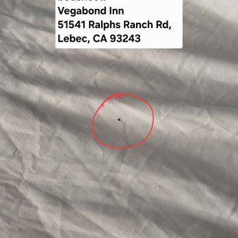 Motel 6 - Monday, 10/5/2026 - Tuesday, 10/6/2026 - Vegabond Inn. Address is 51541 Ralphs Ranch Rd, Lebec, CA 93243. - Hotels Near Me - Lebec, California Motel 6 - Monday, 10/5/2026 - Tuesday, 10/6/2026 - Vegabond Inn. Address is 51541 Ralphs Ranch Rd, Lebec, CA 93243. - Hotels Near Me - Lebec, California