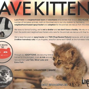 Luxe Paws - Pet Adoption Near Me Luxe Paws - Pet Adoption Near Me