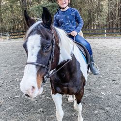 Durham Equestrian Club