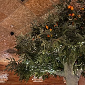Spicy Mango - Indoor - Caribbean Near Me - New Orleans, Louisiana