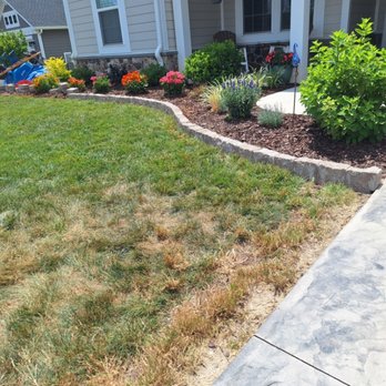 Salas Tree Service And Construction - Tree Services Near Me Salas Tree Service And Construction - Tree Services Near Me
