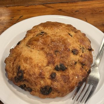 YEGANEH BAKERY & KAFE UNIK - Updated March 2025 - 1859 Photos & 1306 Reviews - 3275 Stevens