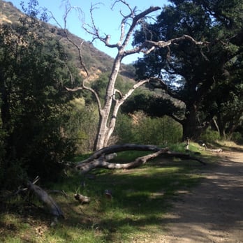 Potato Mountain - Hiking Near Me - Claremont, California