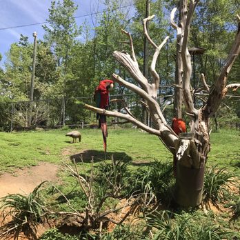 Sylvan Heights Bird Park - Parks Near Me - Scotland Neck, North Carolina Sylvan Heights Bird Park - Parks Near Me - Scotland Neck, North Carolina