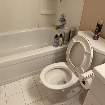Avid Cleaning Services - Home Cleaning Near Me