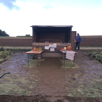 Jerry's Pumpkin Patch - The stand where you pay - Fruits & Veggies Near Me - Pilsach, BY Jerry's Pumpkin Patch - The stand where you pay - Fruits & Veggies Near Me - Pilsach, BY