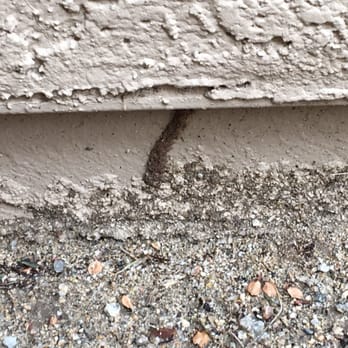 Agro Pest Control - Termite tube on the outside of a home - Pest Control Near Me - Queen Creek, Arizona