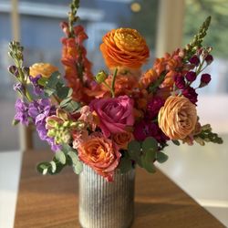 Juniper Blooms
