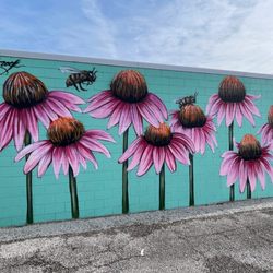 Cone Flower mural