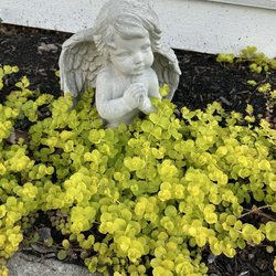 Driscoll's Garden Gifts & Memorials - Cherub