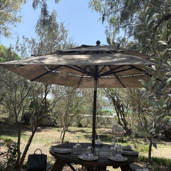 Bodega Dos Búhos - Wineries Near Me - San Miguel de Allende, GUA