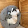 Photo of Natural Instincts Healthy Pet Center