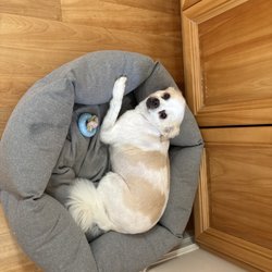Natural Instincts Healthy Pet Center