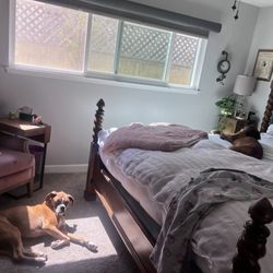 Holly's Happy Tails