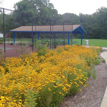 Juan Solomon Park - More beautiful flowers, and beyond them, the picnic area - Parks Near Me - Indianapolis, Indiana