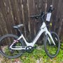 Seagreen Bicycle