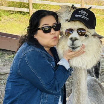 Canzelle Alpacas - Farms Near Me - Carpinteria, California Canzelle Alpacas - Farms Near Me - Carpinteria, California