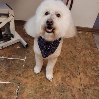 Pup N Suds - Pet Groomers Near Me - Oak Forest, Illinois